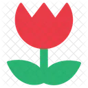 Photograph Macro Effect Icon