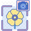 Fotografía macro  Icon