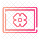 Macro Photography  Icon