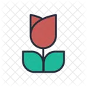 Macro photography  Icon