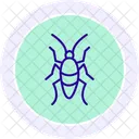 Madagascar Hiss Cockroach Madagascarhisscockroach Reptile Icon