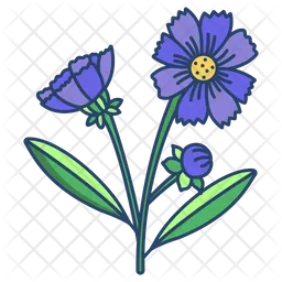 Mädchenauge  Symbol