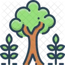 Madurez Arbol Planta Icono