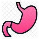 Magen Mensch Organ Symbol