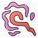 Magic Magician Magical Icon