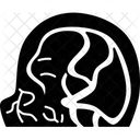 Magnetic  Icon