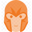 Magneto Xmen Marvel Icon