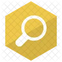 Magnifier Search Zoom Icon