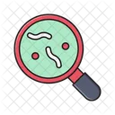 Magnifier Germs Glass Icon