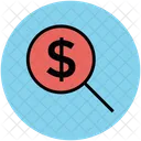 Magnifying Dollar Zoom Icon