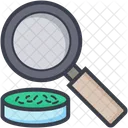 Searching Glass Magnifier Icon