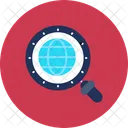 Magnifying Glass Magnifier Globe Icon