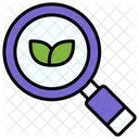 Magnifying Glass Search Magnifier Icon