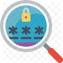 -magnifying glass  Icon
