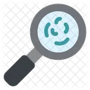 Magnifying Glass  Icon