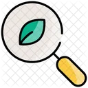 Magnifying Glass And Leaf Icon
