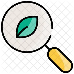 Magnifying glass and leaf  Icon
