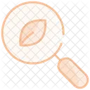 Magnifying Glass And Leaf Icon