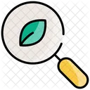 Magnifying Glass And Leaf Icône