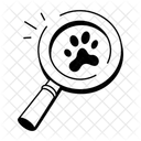 Magnifying Glass  Icon