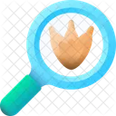 Magnifying Glass Search Magnifier Icon