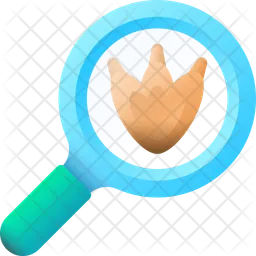 Magnifying glass  Icon