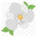 Magnolia Blossom Floral Icon