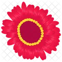 Magnolia Generic Flower Seasonal Blossom Icon