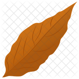 Magnolia Leaf Icon