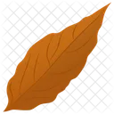 Magnolia Leaf Leaf Autumn Leaf Icon