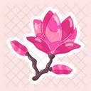 Magnolia Liliiflora  Icon