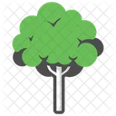 Mahagoni Baum Wald Symbol