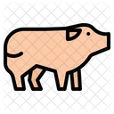 Maiale Fattoria Animale Icon