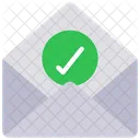 Mail Check Email Approve Mail Icon