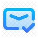 Mail Check  Icon