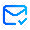 Mail Check Communication Chat Icon