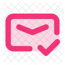 Mail Check  Icon