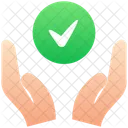 Main Cheque Coche Icon