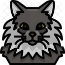 Maine Coon Cat Cat Face Icon