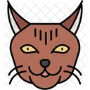 Maine Coon Cat Large Fluffy Tail Icon