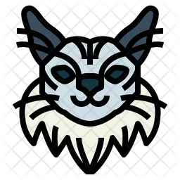 Maine Coon Cat  Icon