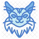 Maine Coon Cat  Icon