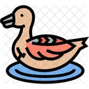 Maior  Ícone