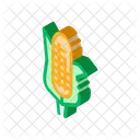 Corn Food Maize Icon
