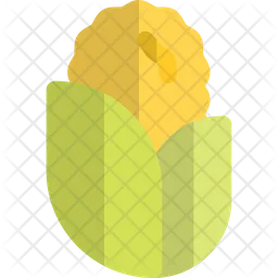 Maize  Icon