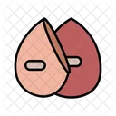 Makeup Sponge Sponge Makeup Icon