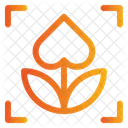 Makromodus  Symbol