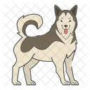Malamute Dog Puppy Icon