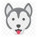 Malamute Pet Dog Dog Icon
