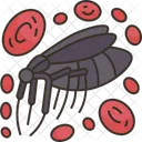 Malaria  Icon